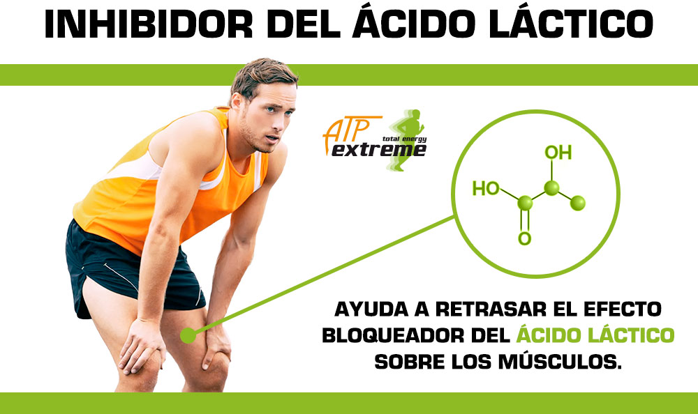 Inhibidor ácido láctico ATP Extreme 20 gr Vitobest