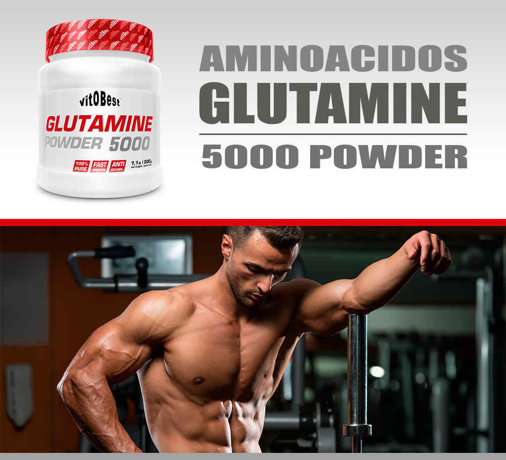 Glutamine 5000 Powder 500 grs Vitobest