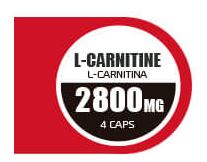 Composición L-Carnitina Core Series ProCell