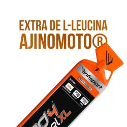 ND4 2:1 Gel XL 70 gr - Infisport ¡Envíos Gratis!