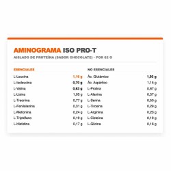 ISO Pro-T 1 kg  - Infisport ¡Envíos Gratis!