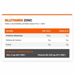 Glutamin + Zinc 300 gr - Infisport ¡Envíos Gratis!