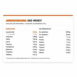ISO Whey Leucina+ 1 kg - Infisport ¡Envíos Gratis!