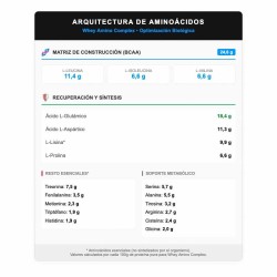Whey Amino Complex (Sobres) 30 g - Vitobest ¡Envíos Gratis!