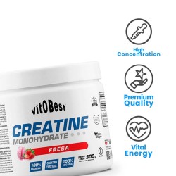 Creatine Monohydrate 300 gr - VitoBest ¡Envíos Gratis!