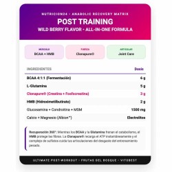 Post training 500Grs - Vit0Best. ¡Envíos Gratis!