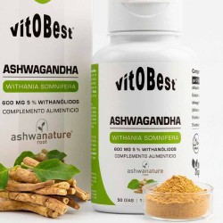 Ashwagandha 100 caps - Vitobest  ¡Envíos Gratis!