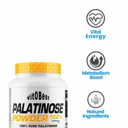 Palatinose Powder 100% 2 Kg - Vitobest ¡Envío Gratis!