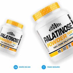 Palatinose Powder 100% 2 Kg - Vitobest ¡Envío Gratis!