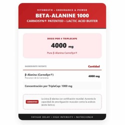 B-Alanine 1000 100 Triplecaps Beta Alanina - Vitobest ¡Envío Graits!