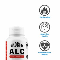 ALC Acetyl L-Carnitine 90 CAPS -  Vitobest. Comprar online ¡Envíos Gratis!
