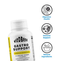 Gastro Support 60 caps- VitoBest ¡Envíos Gratis!