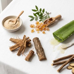 Gastro Support 60 caps- VitoBest ¡Envíos Gratis!