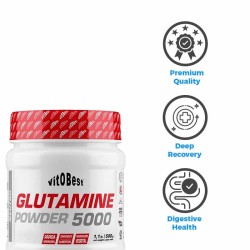 Glutamina 5000 Powder 500 Gr  - VitoBest. ¡Envío Gratis!