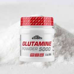 Glutamina 5000 Powder 500 Gr  - VitoBest. ¡Envío Gratis!