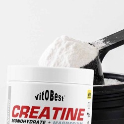 Creatine (Creamag®) 200 g - Vitobest ¡Envíos Gratis!