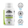 Chlorella 850 mg 60 Caps - VitOBest. ¡Envíos Gratis!