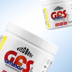 GFS Aminos 200gr - VitoBest ¡Envíos Gratis!
