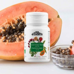 Cactinea Bio & Papaya Bio 45 Vcaps - Vitobest ¡Envíos Gratis!