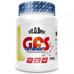 GFS Aminos Powder 500Gr - VitoBest Aminoacidos