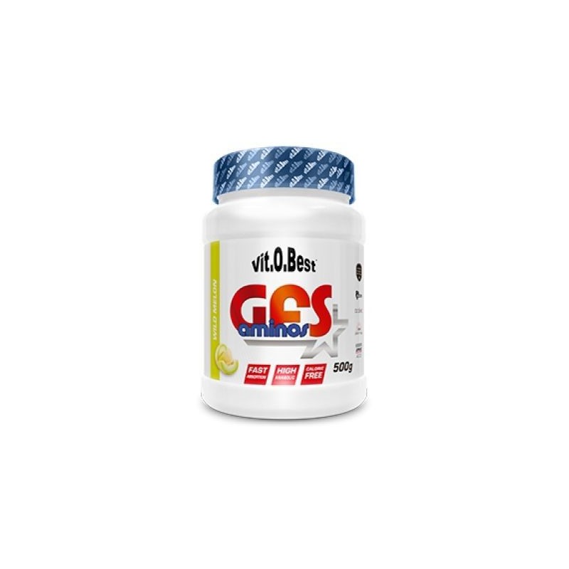 GFS Aminos Powder 500Gr - VitoBest Aminoácidos