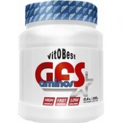 GFS Aminos Powder 300Gr - VitoBest Aminoacidos