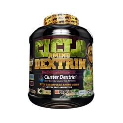 CICLO AMINO DEXTRIN® - Hidrato fácil absorción 1.5 Kg - BIG