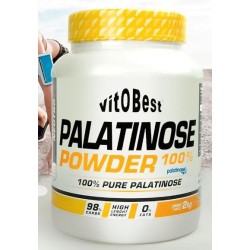 Palatinose Powder 100% 2 Kg - Vitobest
