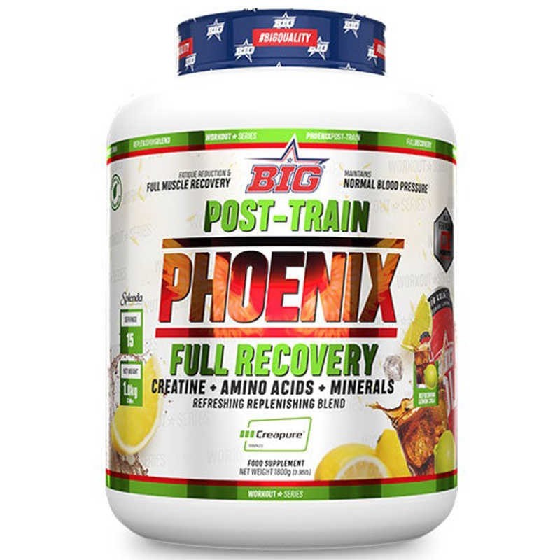 New Phoenix ® Recovery - Post-entrenamiento 1,8 Kg - BIG