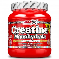Creatine Monohydrate 500Gr - Amix