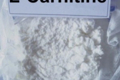 ¿Cuándo se debe tomar L- Carnitina?